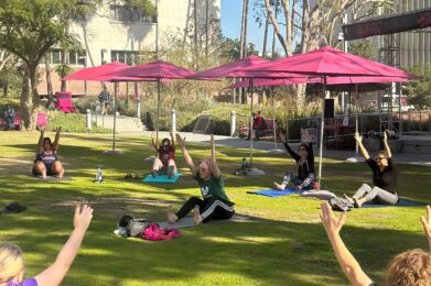 people doing yoga at the park